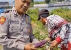 Bhabinkamtibmas-Desa-Permisan-Polsek-Jabon-Tinjau-Lahan-Sayuran,-Dukung-Ketahanan-Pangan-Polresta-Sidoarjo