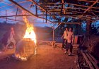 Respon-Dumas-Sabung-Ayam,-Polsek-Jabon-Turun-Langsung-Datangi-Lokasi